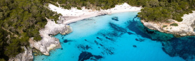https://img-prod.tgcom24.mediaset.it/images/2026/05/20/132124714-a1f43d81-a9a2-44a3-aac7-1b06dd7a4800.jpg