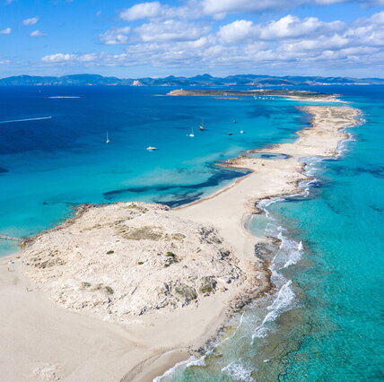 https://img-prod.tgcom24.mediaset.it/images/2026/05/20/134046254-afdab260-aa53-4564-8b2a-5409c7ee2c55.jpg