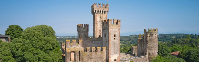 https://img-prod.tgcom24.mediaset.it/images/2026/05/23/110501518-868900e3-9bd1-456f-acf3-c93f122ce691.jpg