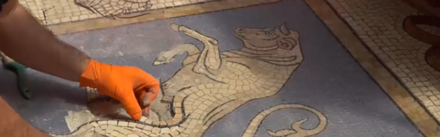 Anteprima: Milano, al via il restauro del toro in Galleria
