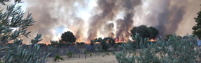 Villasimius, maxi incendio spinto dal maestrale: in volo canadair ed elicotteri