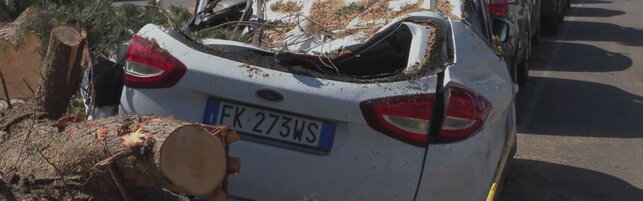 Tornado su Roma, gli alberi sradicati sotto le raffiche di oltre i 100 km/h