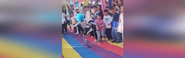Robot umanoide colpisce un bambino durante uno spettacolo