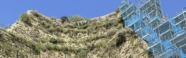 Napoli, per scattare un selfie cade dal Monte Echia: grave t