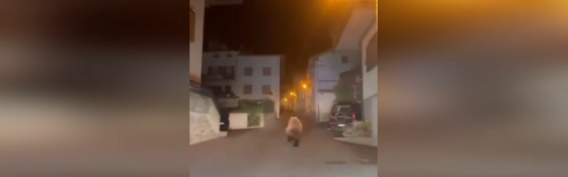 Orso inseguito in auto in Valtellina, gli esperti 