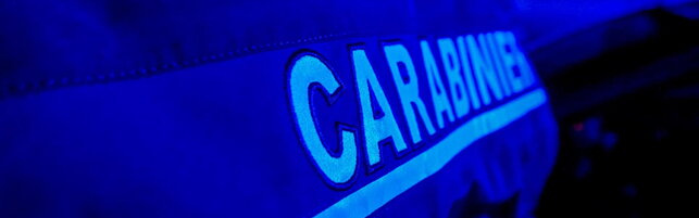 Anteprima: Mantova, chiama i carabinieri e accoltella il fratello davanti a loro: "Hai molestato mia…