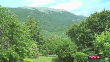 https://img-prod.tgcom24.mediaset.it/images/2026/06/12/105157258-7300984c-d0e1-4efa-9485-a50cd98eb291.jpg