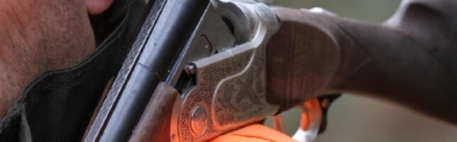 Anteprima: Cacciatore spara a una quaglia ma centra e ferisce un runner