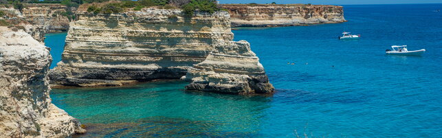 https://img-prod.tgcom24.mediaset.it/images/2026/06/22/141358436-97fda7d5-da4a-472b-88e5-b69de0a8f301.jpg