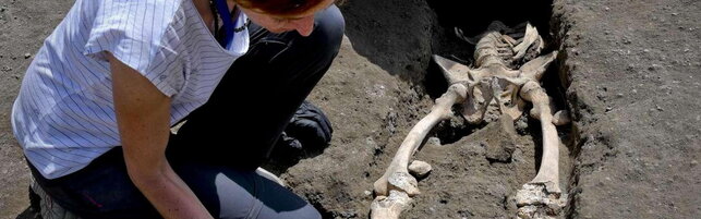 Le dimensioni del corpo umano non sono aumentate gradualmente ma a scatti