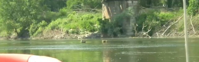 Copertina: Ondata di caldo anomala, il fiume Po in sofferenza