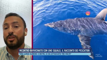 https://img-prod.tgcom24.mediaset.it/images/2026/06/24/082422296-930a0f87-eb3e-41a5-aef2-f297834949af.jpg