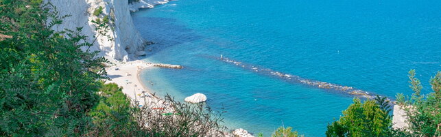 https://img-prod.tgcom24.mediaset.it/images/2026/06/26/092048290-e60ab8bb-1782-4636-97ef-0939e59e4a21.jpg