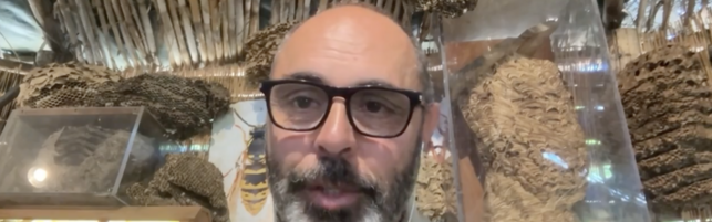 https://img-prod.tgcom24.mediaset.it/images/2026/06/26/095721810-e4254313-24c1-4c44-a7df-b2f1b5df9943.png