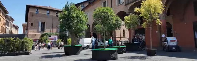 Anteprima: Bologna, polemica per il no del comune all'acquisto di alberi per nuove zone d'ombra