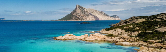 https://img-prod.tgcom24.mediaset.it/images/2026/07/02/111956168-a2b7ad0e-9e6e-4d2a-b6d5-2a805b3d591a.jpg