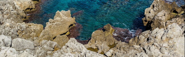 https://img-prod.tgcom24.mediaset.it/images/2026/07/09/090841761-962b2ba2-eb3e-4915-826e-fe353405cfda.jpg