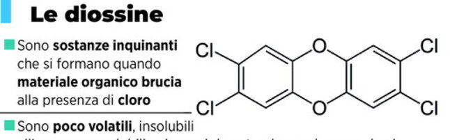 Diossine, cosa sono e gli effetti sull'uomo