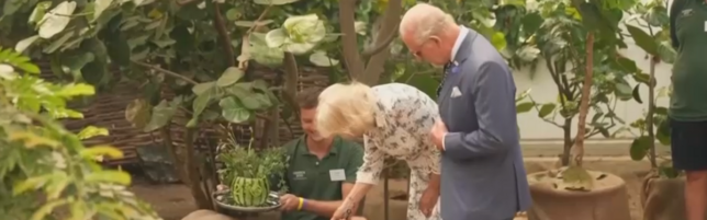 Re Carlo e Camilla visitano lo zoo di Londra
