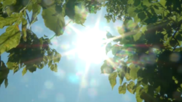 https://img-prod.tgcom24.mediaset.it/images/2026/07/10/102821622-203ee889-3726-4749-a74b-d2e618d4da0a.png