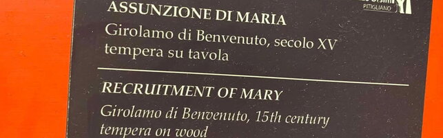 https://img-prod.tgcom24.mediaset.it/images/2026/07/11/105002335-881f6eca-dafa-4eae-8b6e-21a383d31ddc.jpg