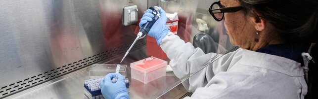 Botulino, la svolta italiana che può cambiare la cura delle lesioni al midollo spinale