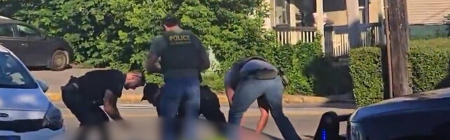 Uccisione di un civile da parte di agenti ICE
