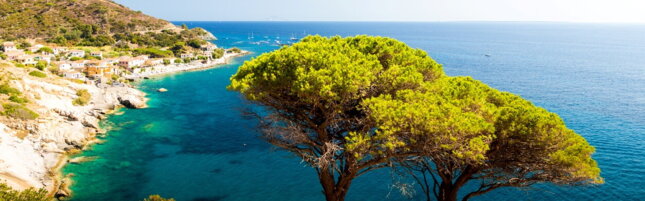 https://img-prod.tgcom24.mediaset.it/images/2026/07/14/150758377-e2843283-f90b-4942-a5ee-31c543c4652e.jpg