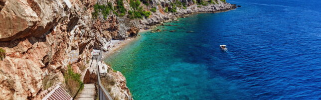 https://img-prod.tgcom24.mediaset.it/images/2026/07/17/150330758-6bfbe06b-9e0d-4dee-a5c1-3d0ea2c63952.jpeg