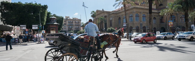 Palermo: stop alle carrozze a cavallo per i turisti