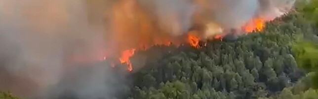 Wildfire on Gargano Peninsula Prompts Tourist Evacuations by Coast Guard
