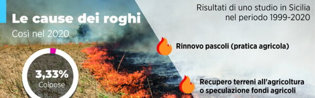https://img-prod.tgcom24.mediaset.it/images/2026/07/27/180527293-c4a79742-6957-4ae0-a45a-b6ddb0994a79.jpg