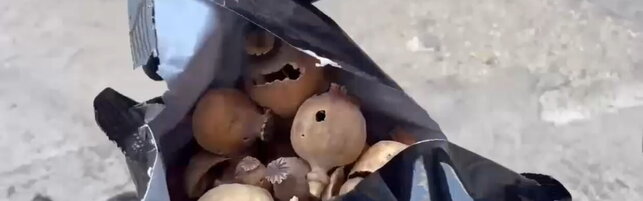 Sequestrati oltre 100 kg di oppio ad Ardea