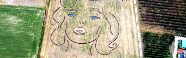 Ritratto di Marilyn Monroe realizzato su un campo nel Veronese per il centenario