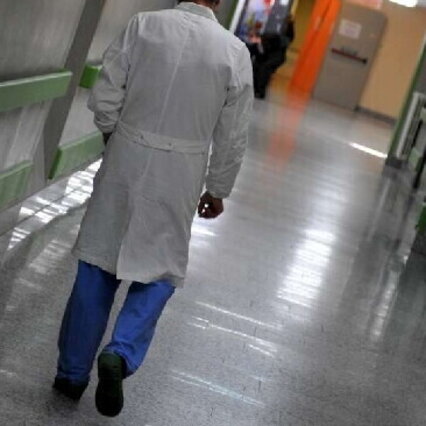 Anteprima: Bari, bimba di 6 anni azzannata da un cane randagio: è in rianimazione