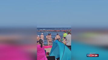 https://img-prod.tgcom24.mediaset.it/images/2026/08/08/165228015-05ca3238-539b-4223-9581-b1d10827a12f.jpg