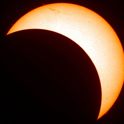 Anteprima: Eclissi solare, cosa succederà alla rete elettrica quando il sole si "spegnerà"