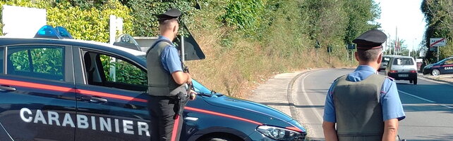 Anteprima: Gorizia, multata perché al telefono mentre guida ma lei non ci sta: "Era una zucchina"
