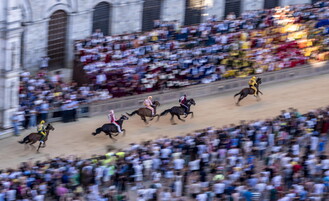 https://img-prod.tgcom24.mediaset.it/images/2026/08/16/141301989-571d74d1-47c5-48be-bbdb-16063bc8078a.jpg