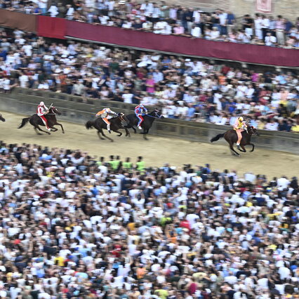 Anteprima: Palio di Siena, trionfa la contrada del Nicchio con Tittia | Dopo il traguardo, brutto in…