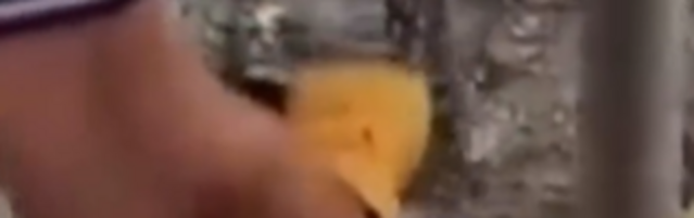 https://img-prod.tgcom24.mediaset.it/images/2026/08/20/154358939-63d55026-9cab-47fd-be56-a9853542372d.png