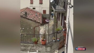 https://img-prod.tgcom24.mediaset.it/images/2026/08/21/164324914-ca0b795f-9ef0-4a4b-81d7-6a42349f9449.jpg