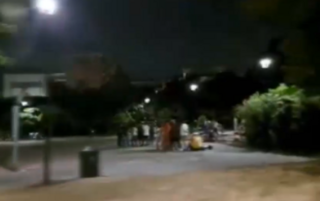 Anteprima: Milano, di notte feste e grida nei giardini Cesare Pagani... e la mattina montagne di rif…