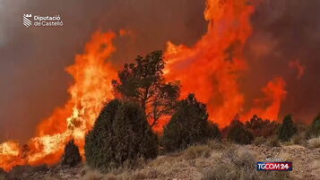Copertina: Spagna, il caldo continua a devastare: maxi rogo a Valencia