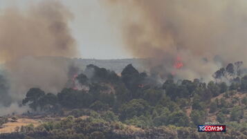 Deflagrano violenti incendi boschivi in Algeria: decine le vittime