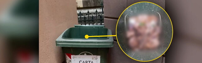 https://img-prod.tgcom24.mediaset.it/images/2026/08/27/173031077-17ff0504-855a-4dce-bdab-7678ffec05ff.jpg