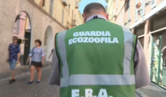 https://img-prod.tgcom24.mediaset.it/images/2026/09/01/175121527-1aa7e6fe-ca25-4a02-9e6b-38797f330cce.png