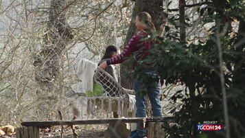 https://img-prod.tgcom24.mediaset.it/images/2026/09/03/120037654-6833186b-b9e3-4fed-a3c8-927cfe1e8d6d.jpg