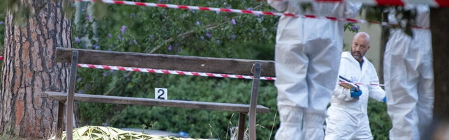 Anteprima: Roma, sette arresti per l'omicidio di "Diabolik": la trappola mortale e il killer travest…