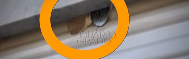 https://img-prod.tgcom24.mediaset.it/images/2026/09/11/224520545-f663eae9-e70e-4302-a18f-ecb10c5c558d.jpg